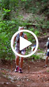 BIB:  <button type="button" onclick="openModal(27446209)" class="btn btn-primary btn-sm float-right" data-toggle="modal" data-target=".modal-high-quality">
                <i class="fa fa-download"></i> Download
                </button>